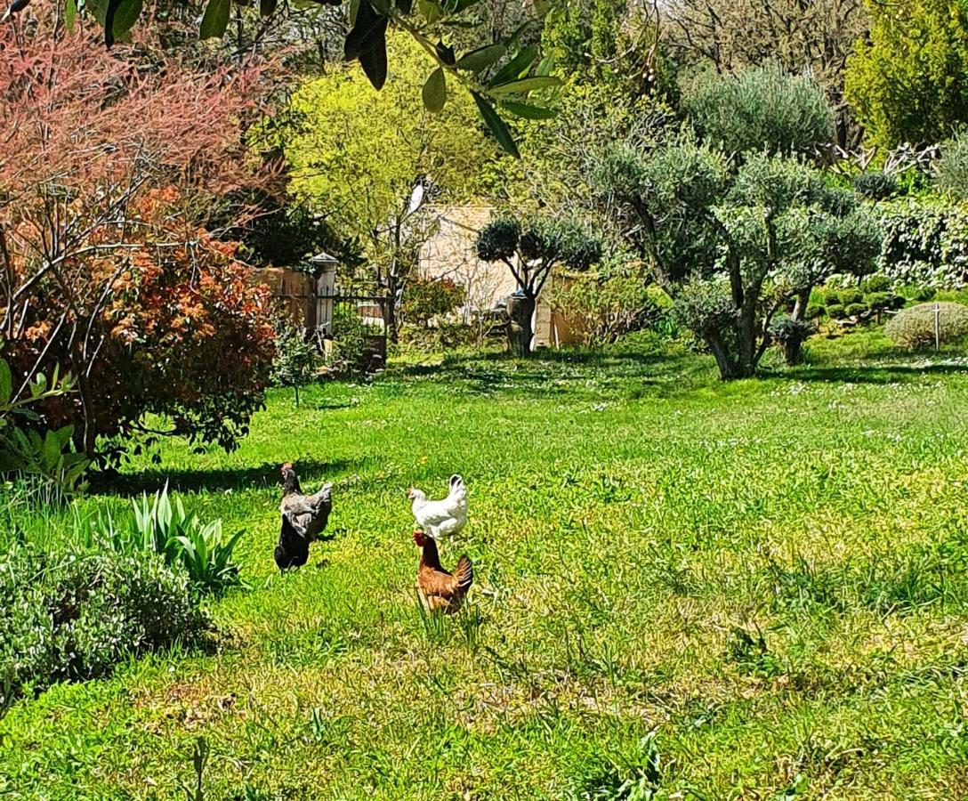 Saint-Christol-lès-Alès Monteze Paradis מראה חיצוני תמונה